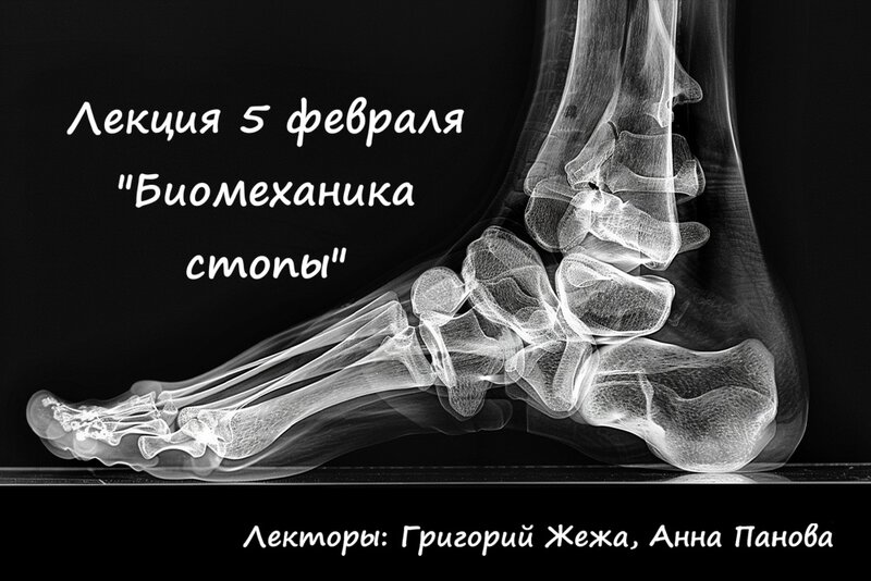 ж1.jpg (221.75 КБ) Просмотров: 3347 ж1.jpg
