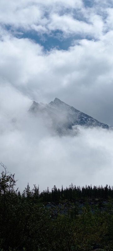 photo_5242681847845093293_y.jpg (73.98 КБ) Просмотров: 2469 photo_5242681847845093293_y.jpg