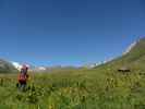 Фото. 43. Заросшая травой терраса в долине реки Харес (Урух)