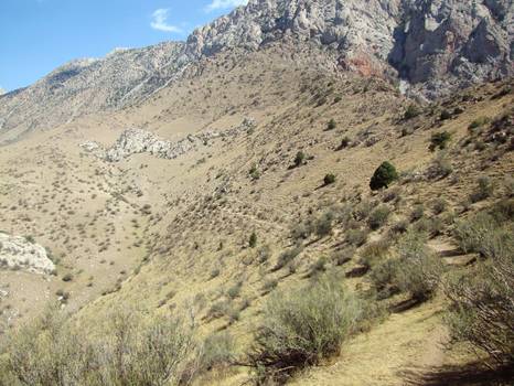 Фото 1.3. Тропа на перевал Сарыяз траверсом склона