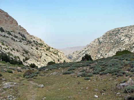 Фото 1.8. Вид с перевала Сарыяз на север