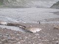 спуск на галечные поля с морены ледн.Бырыс