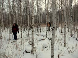 Отчет о лыжном походе по Южному Уралу 
